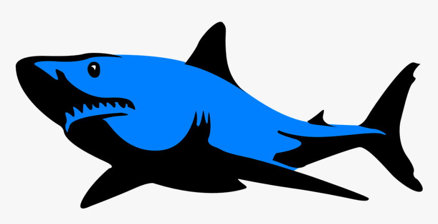 Shark, Jaws, Sea, Fish, Ocean, Blue - Great White Shark Clipart Silhouette, HD Png Download, Free Download