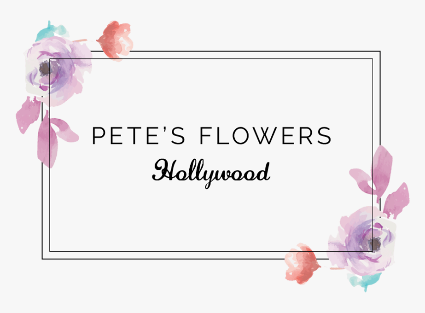 Hollywood, Ca Florist - Garden Roses, HD Png Download, Free Download