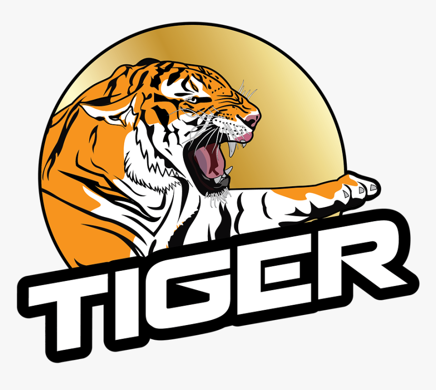 Tiger, Roaring, Right, Animal, Nature, Wildcat, Jungle - Tiger Png Name Images Hd, Transparent Png, Free Download