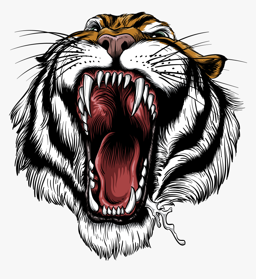 Transparent Fierce Lion Clipart - Tiger With Mouth Open Drawing, HD Png Download, Free Download