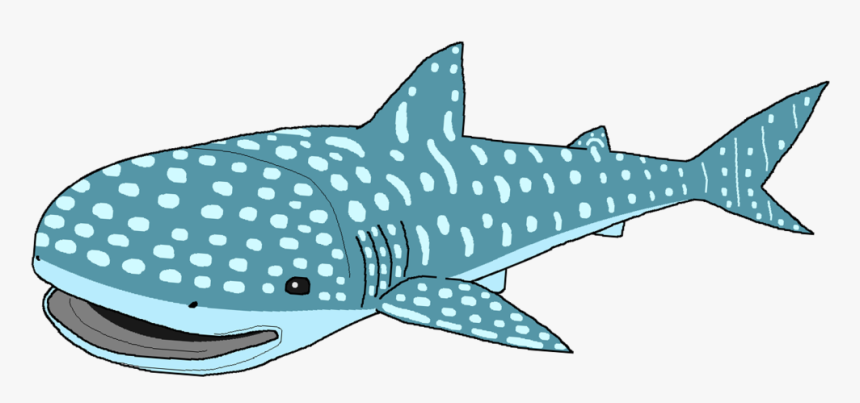 Whale Shark Clipart - Whale Shark Clipart Png, Transparent Png, Free Download