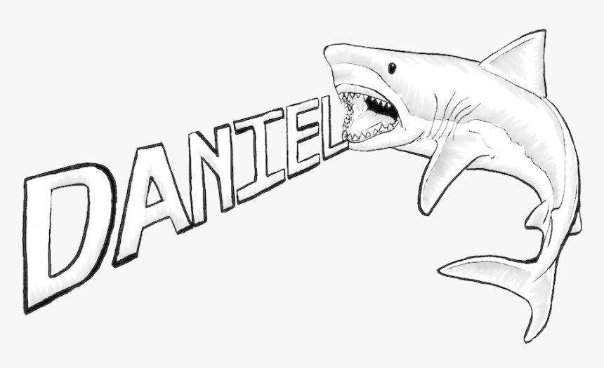 Great White Shark Drawing - Drawings Of A Great White, HD Png Download, Free Download
