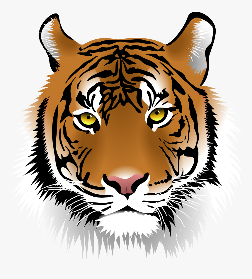 Transparent Tiger Head Clipart, HD Png Download, Free Download