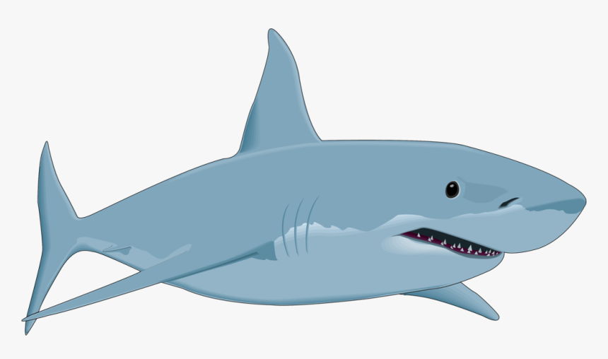 Free Fish Png Download - Great White Shark Clip Art, Transparent Png, Free Download