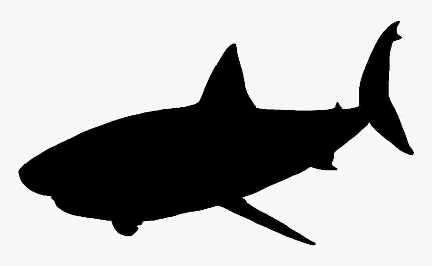 Great White Shark Vector Graphics Portable Network - Great White Shark Silhouette Png, Transparent Png, Free Download