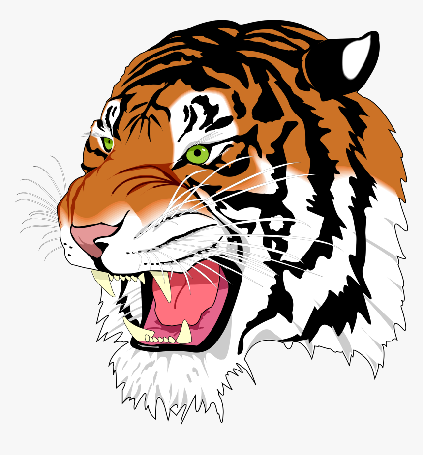 Snarling Tiger Transparent Png Image - Svg Example, Png Download, Free Download