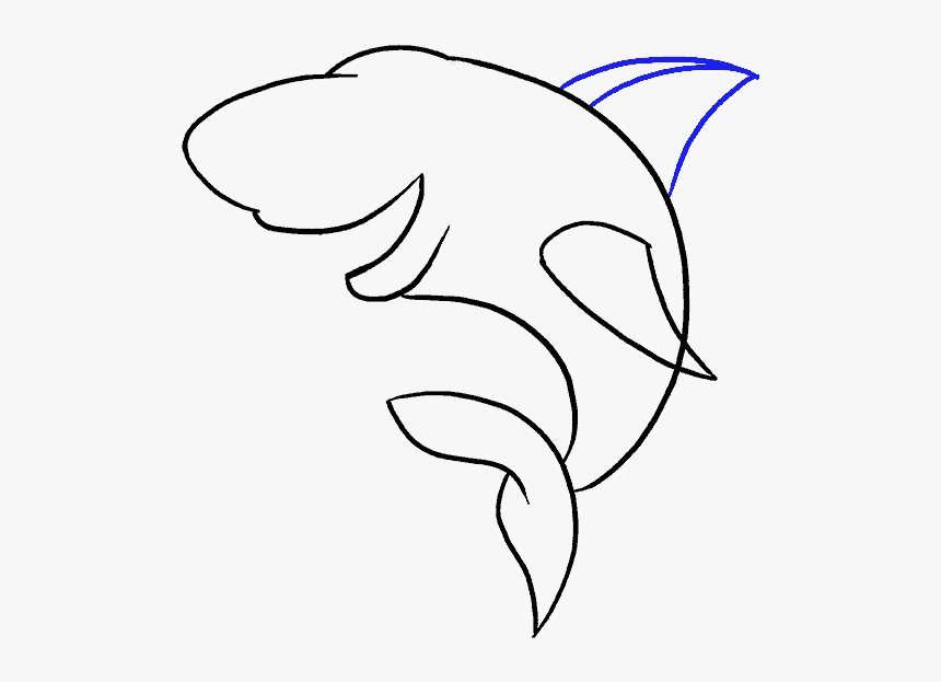 How To Draw Shark - Line Art, HD Png Download, Free Download