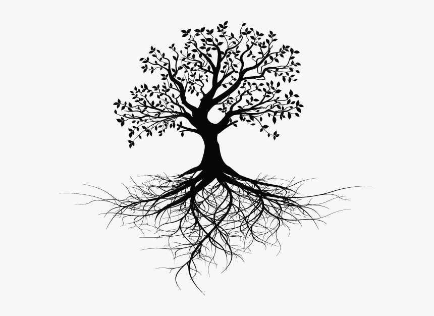 Tree With Roots Design - Tree With Roots Silhouette Png, Transparent Png, Free Download