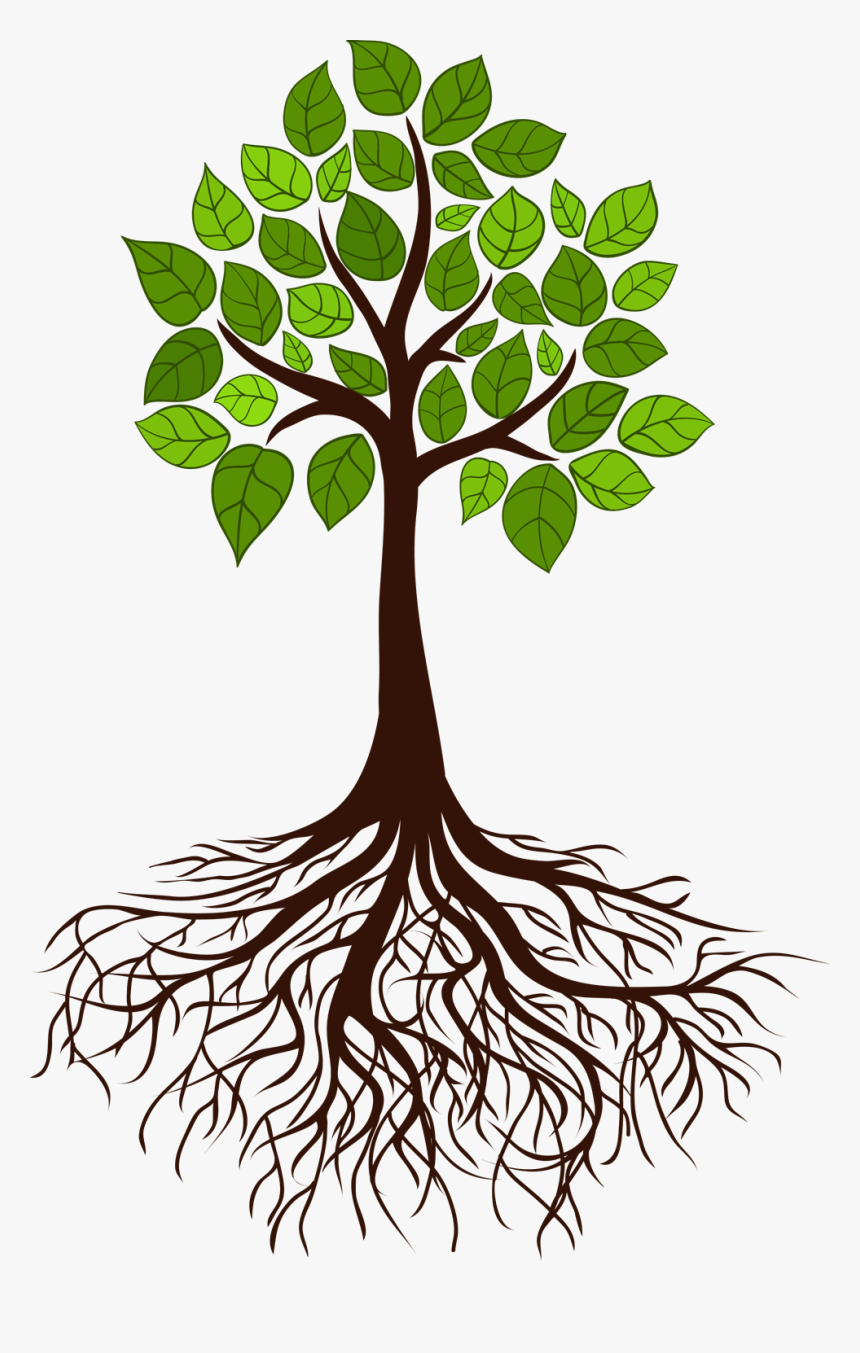 Tree Root Branch - Tree With Roots, HD Png Download, Free Download