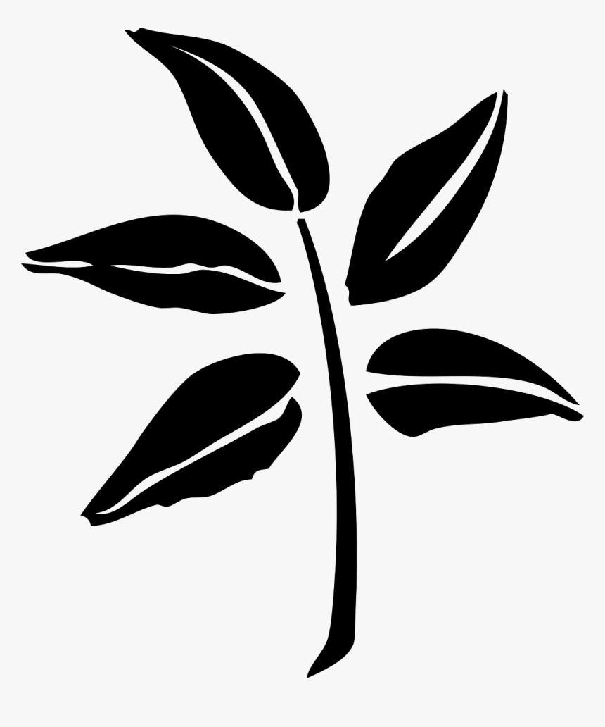 Tea, Leaves, Vegetation, Leaf, Green, Branch - Neem Leaf Silhouette, HD Png Download, Free Download