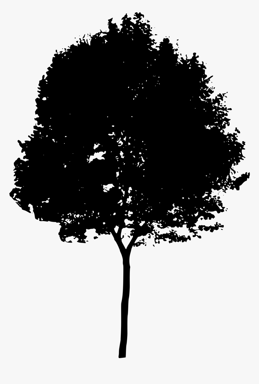 Free Tree Silhouette Download - Transparent Tree Silhouette Png, Png Download, Free Download