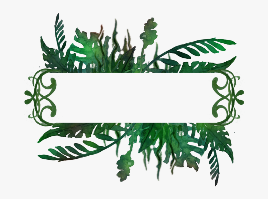 Transparent Jungle Frame Clipart - Drawing, HD Png Download, Free Download
