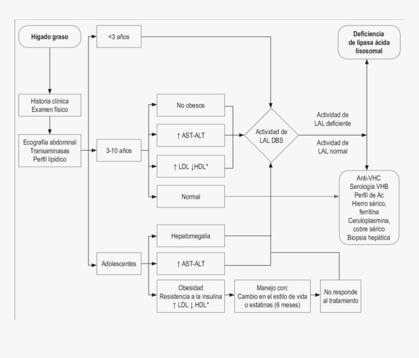 Algoritmo Diagnostico Hepatitis D, HD Png Download, Free Download