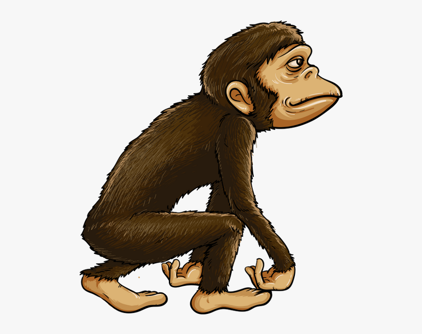 Обезьяна, Шимпанзе, Животные, Фауна, Monkey, Chimpanzee, - Ilustracion Del Hombre Primitivo, HD Png Download, Free Download