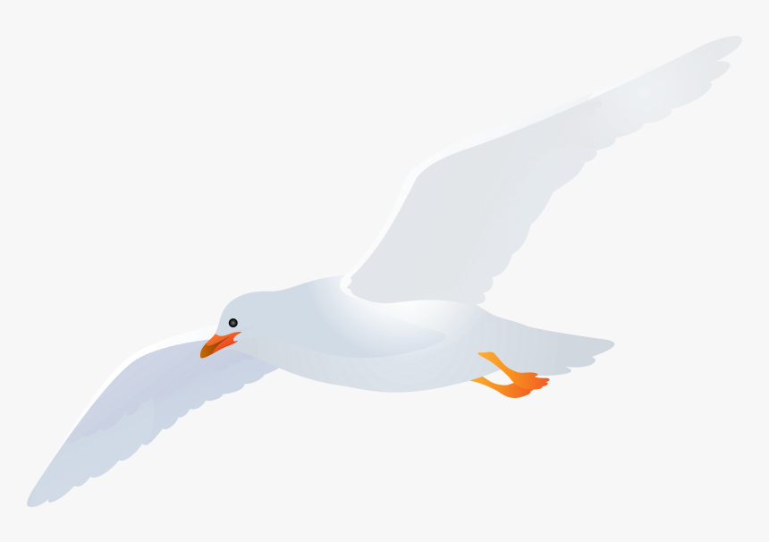 Seagull Clipart Png - Transparent Background Seagulls Clipart, Png Download, Free Download