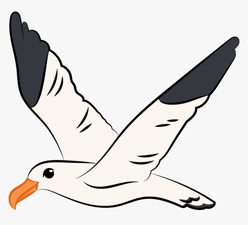 Flying Seagull Clipart - Flying Seagull Clip Art, HD Png Download, Free Download