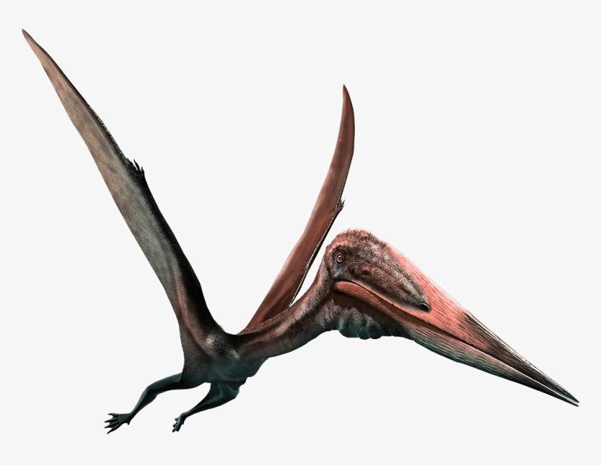 Flying Dinosaurs Transparent Background, HD Png Download, Free Download