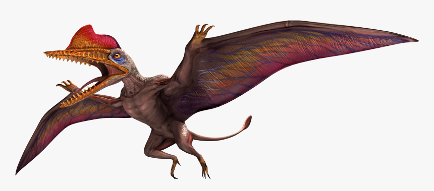 Darwinopterus Jurassic World Alive, HD Png Download, Free Download