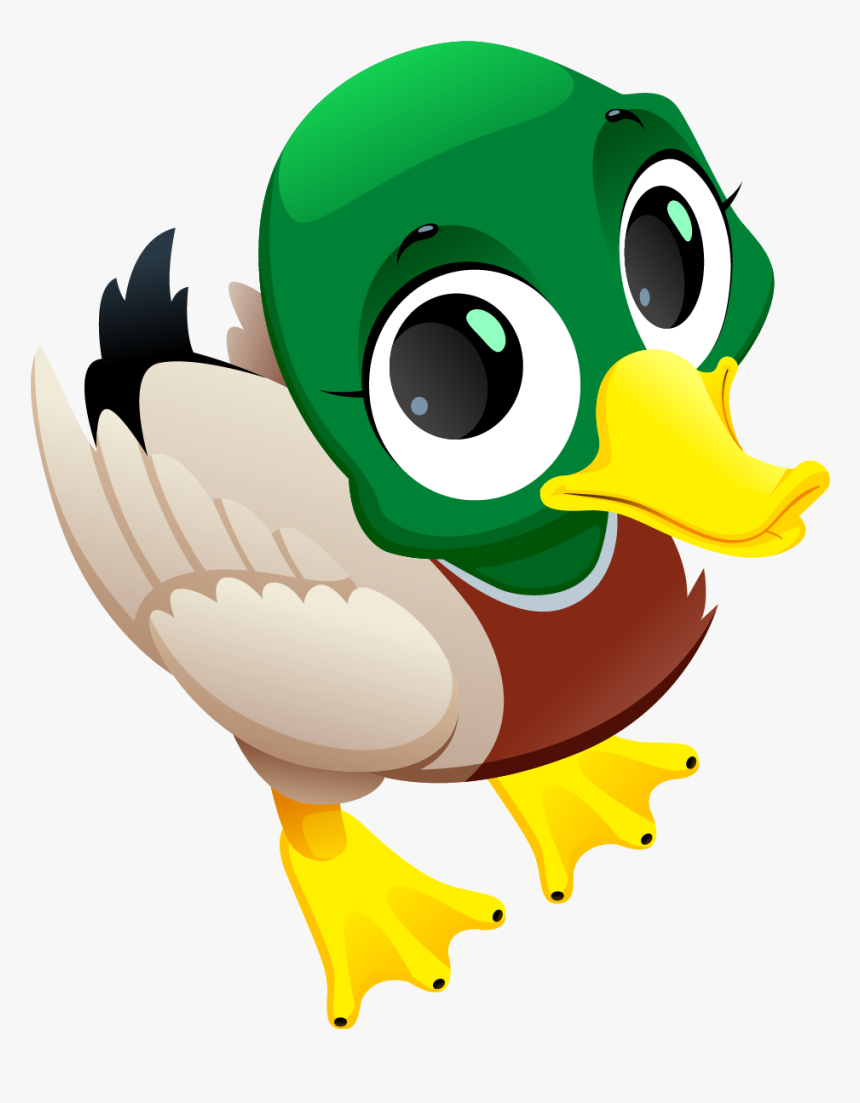 Mosquito Cartoon Art Material - Duck, HD Png Download, Free Download