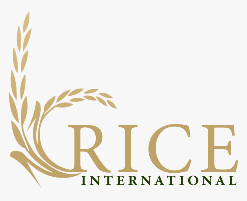 Thumb Image - Rice, HD Png Download, Free Download