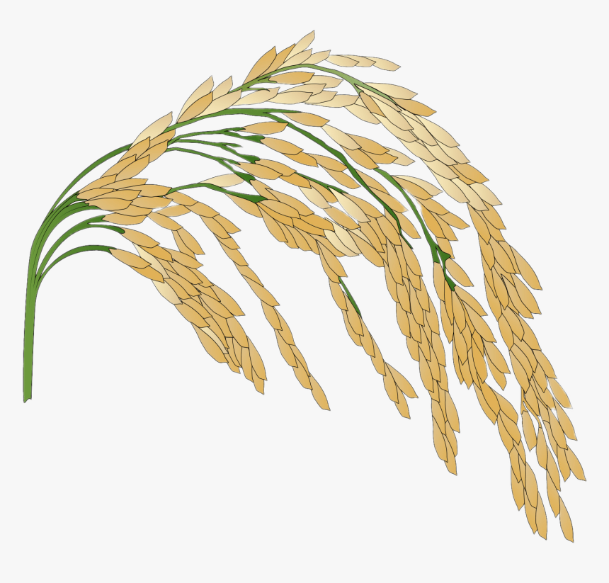 Rice Logo Transparent Background , Png Download - Rice Crop No Background, Png Download, Free Download
