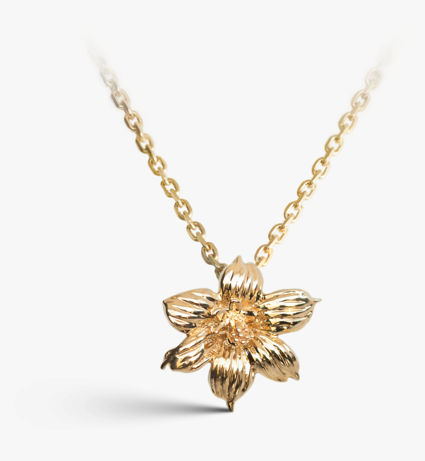 Yellow Gold Bermudiana Floral Pendant - תליוני זהב לבן לנשים, HD Png Download, Free Download