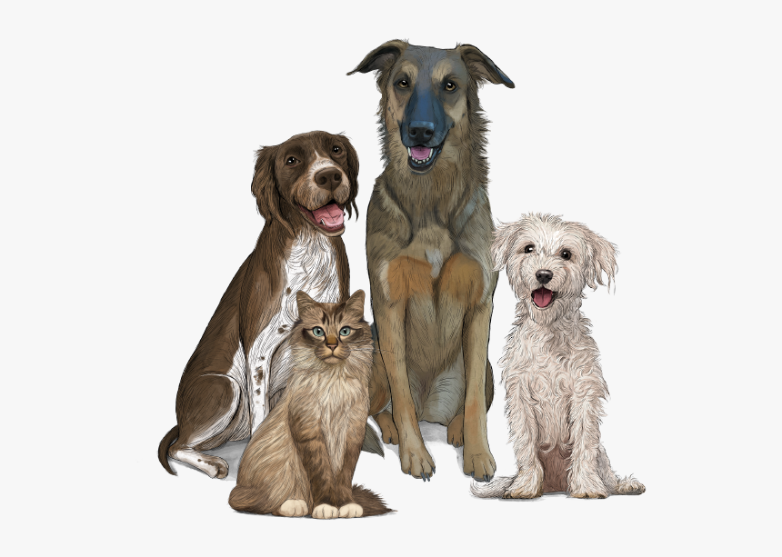 Perros Y Gatos Gosbi - Dog Yawns, HD Png Download, Free Download