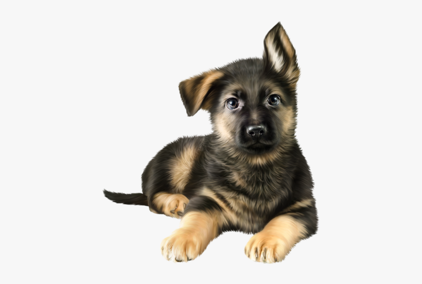 German Shepherd St Patrick's Day, HD Png Download, Free Download