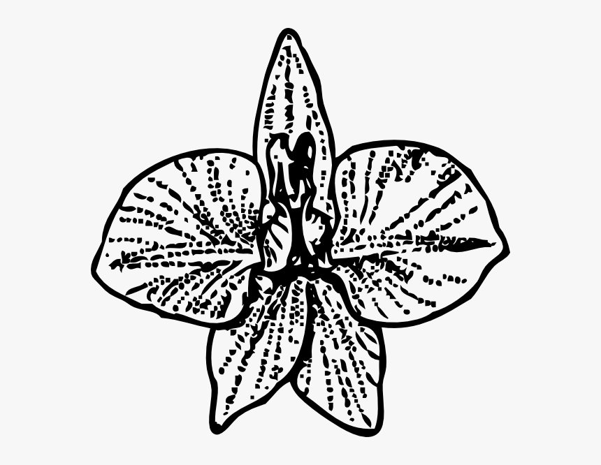 Transparent Spaghetti Clipart Black And White - Larkspur Flower Tattoo, HD Png Download, Free Download