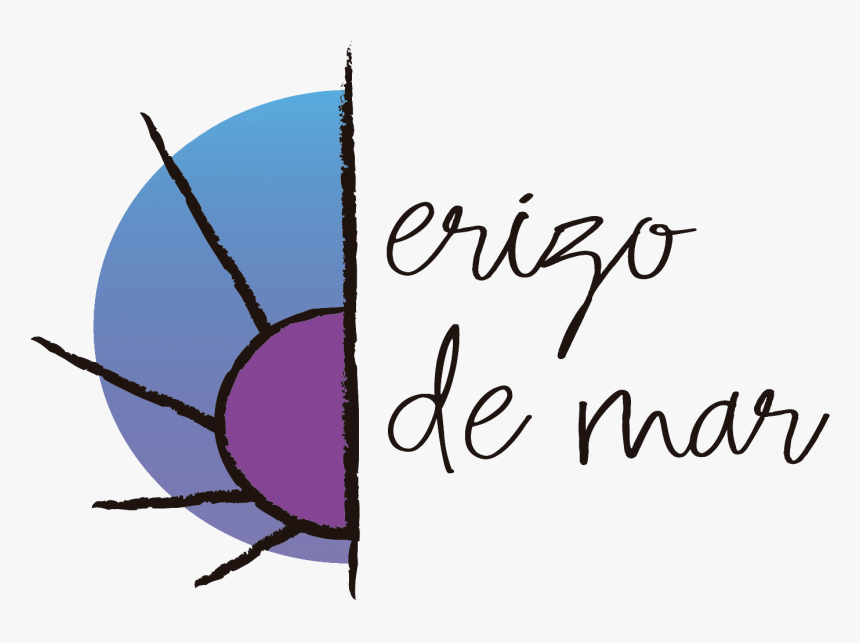 Erizo De Mar - Illustration, HD Png Download, Free Download