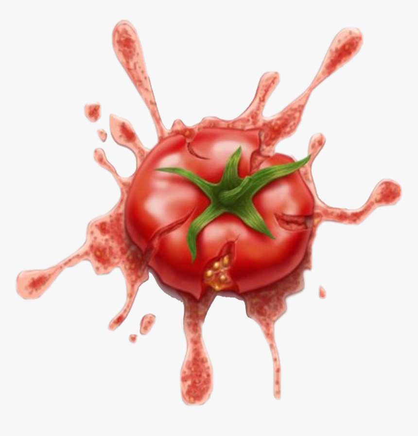 Ketchup Splatter - Squashed Tomato Drawing, HD Png Download, Free Download