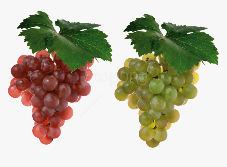 Free Png Download Grapes Png Images Background Png - Grapes Fruit, Transparent Png, Free Download