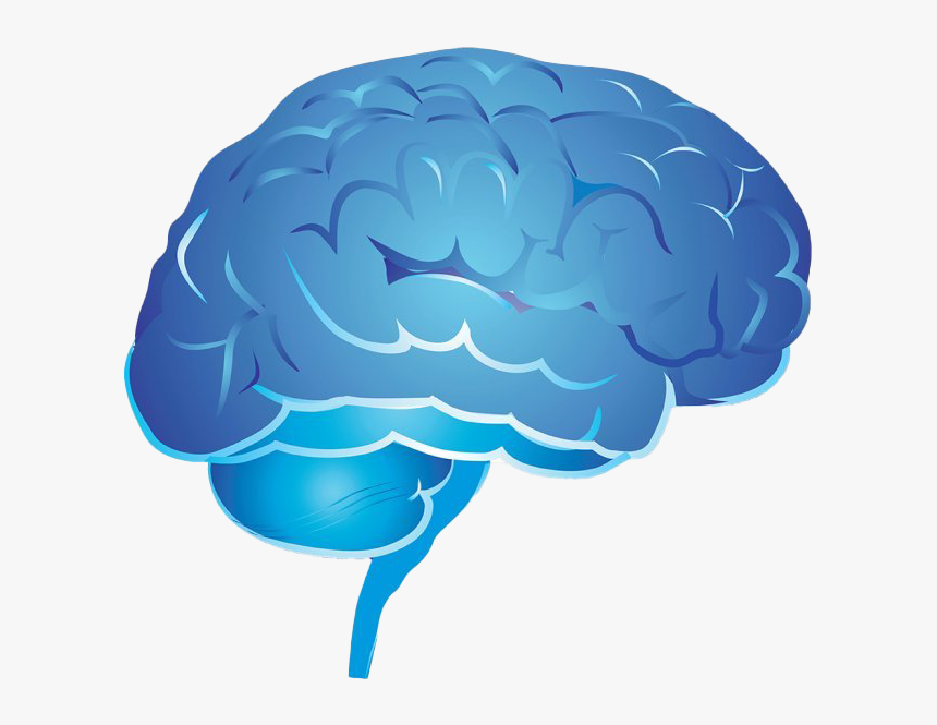 Blue Brain Png Image Transparent - Psychology Brain Png, Png Download, Free Download