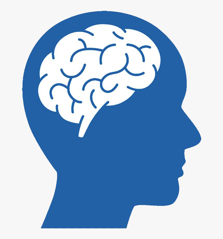 Blue Brain Png Picture - Transparent Head With Brain, Png Download, Free Download