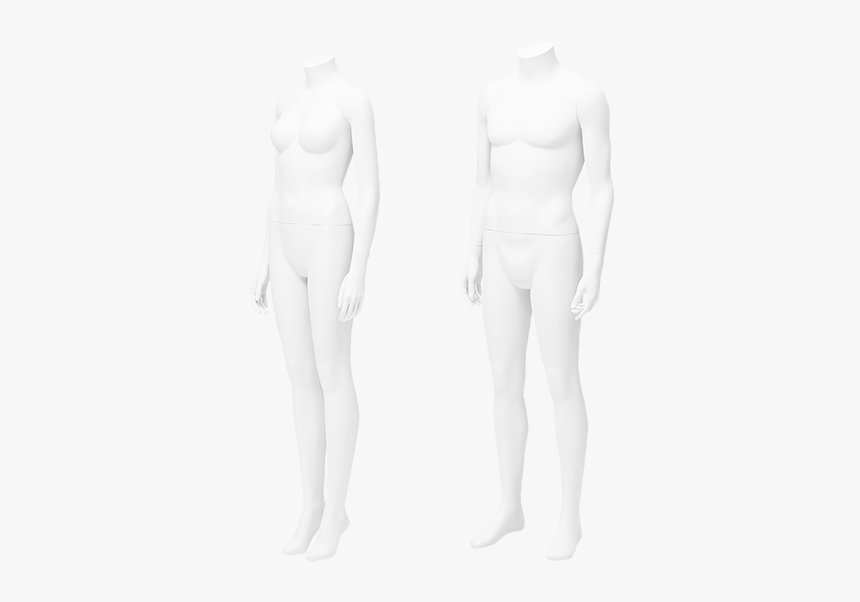 And Bust Form Hire - Mannequin, HD Png Download, Free Download