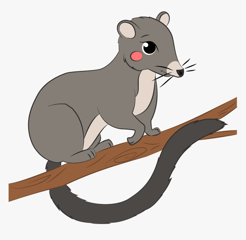 Possum Clipart - Rat, HD Png Download, Free Download