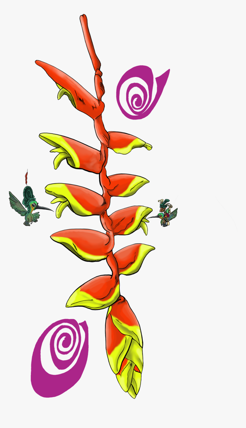 Heliconia, HD Png Download, Free Download