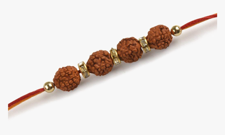 Rudraksha Rakhi Png File, Transparent Png, Free Download