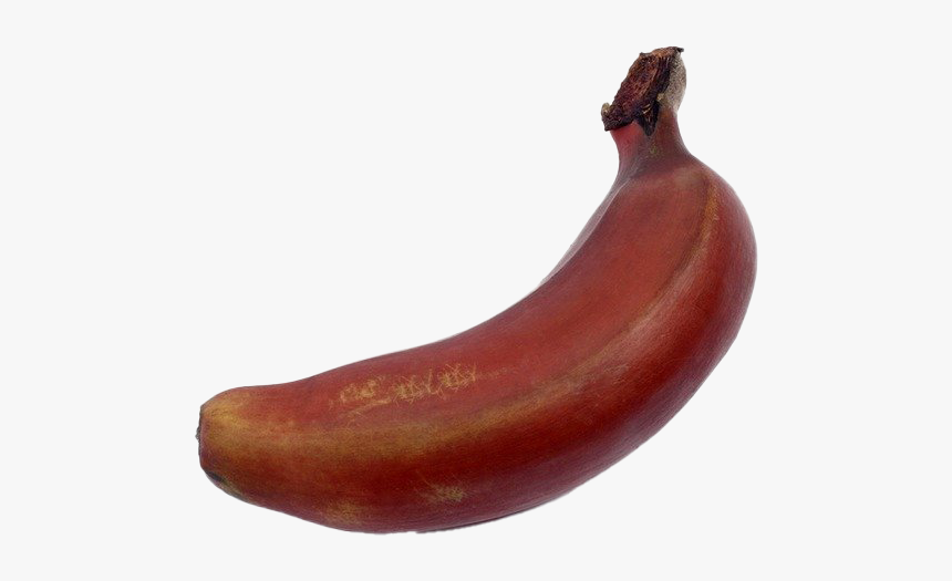 Red Banana Png Free Background, Transparent Png, Free Download