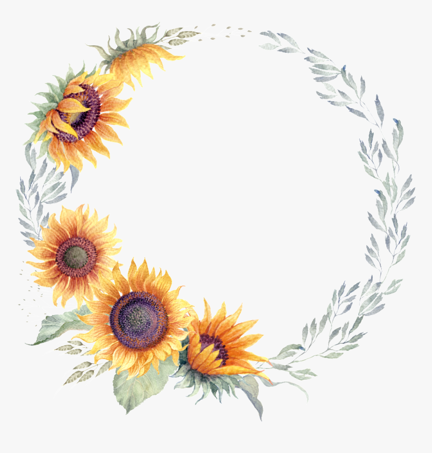 Sunflower , Png Download, Transparent Png, Free Download