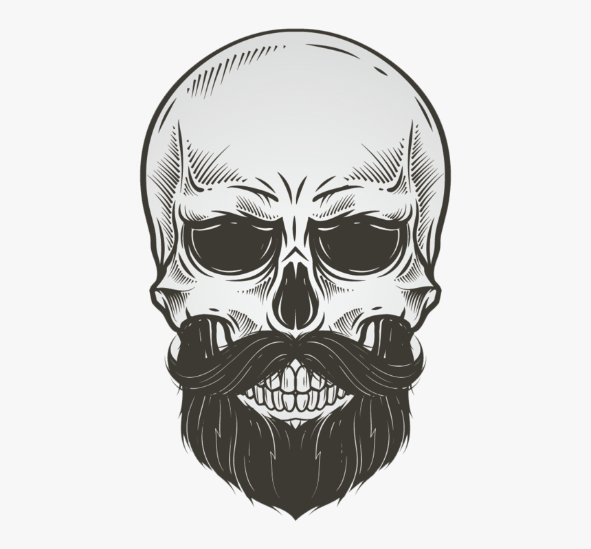 Bearded Skull Illustration Vector Drawing Beard, HD Png Download, Free Download