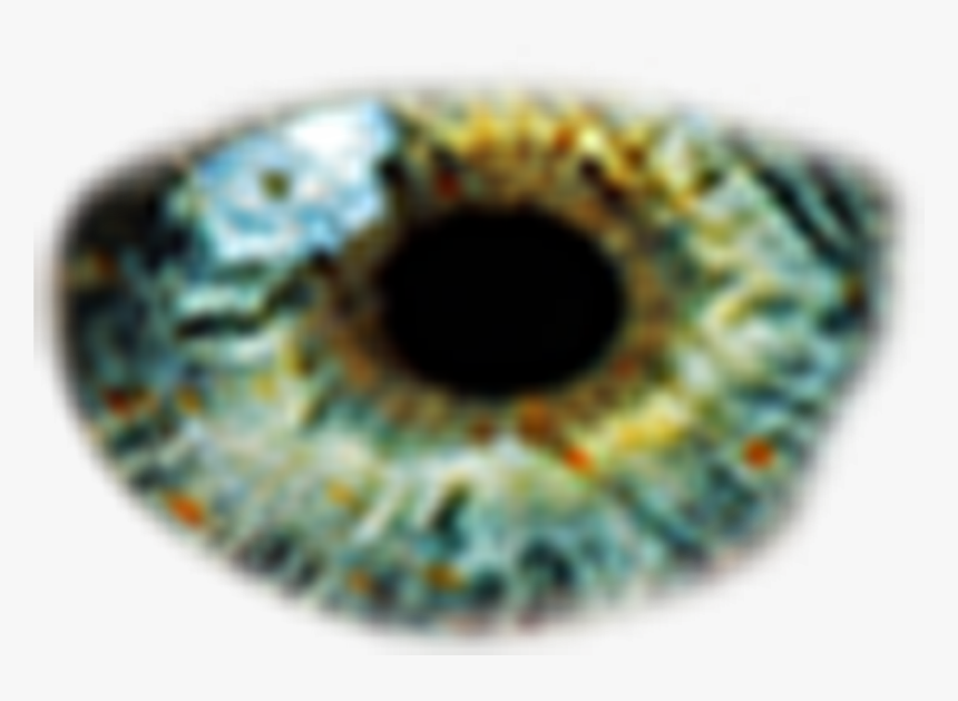 Eyes Png, Transparent Png, Free Download