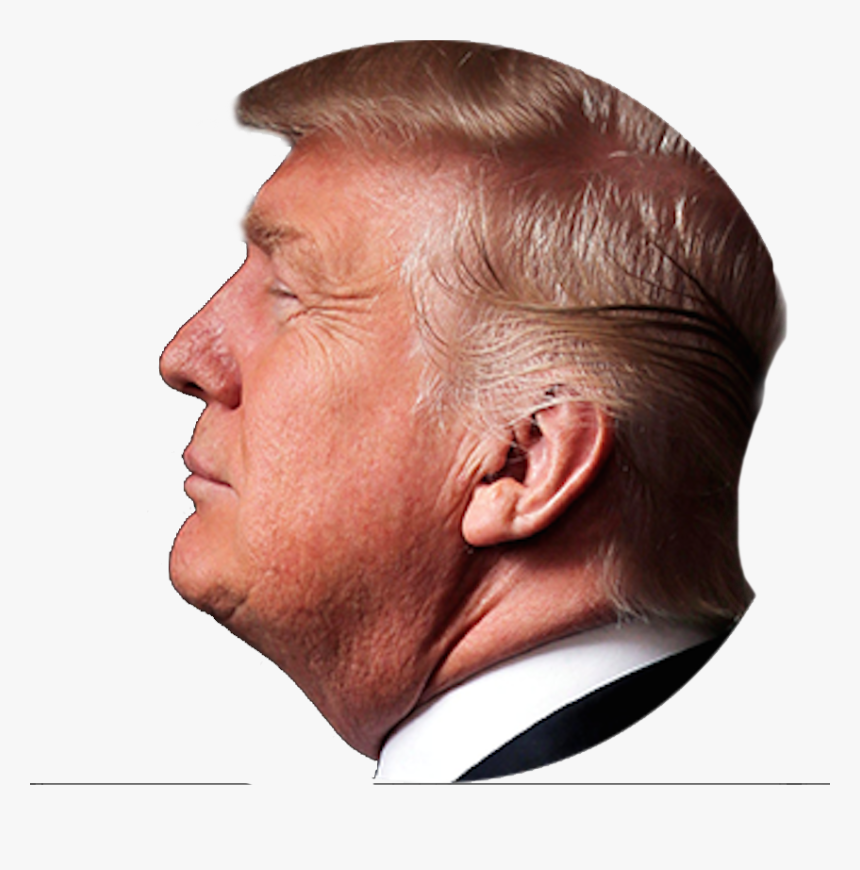 Trump Head Png, Transparent Png, Free Download