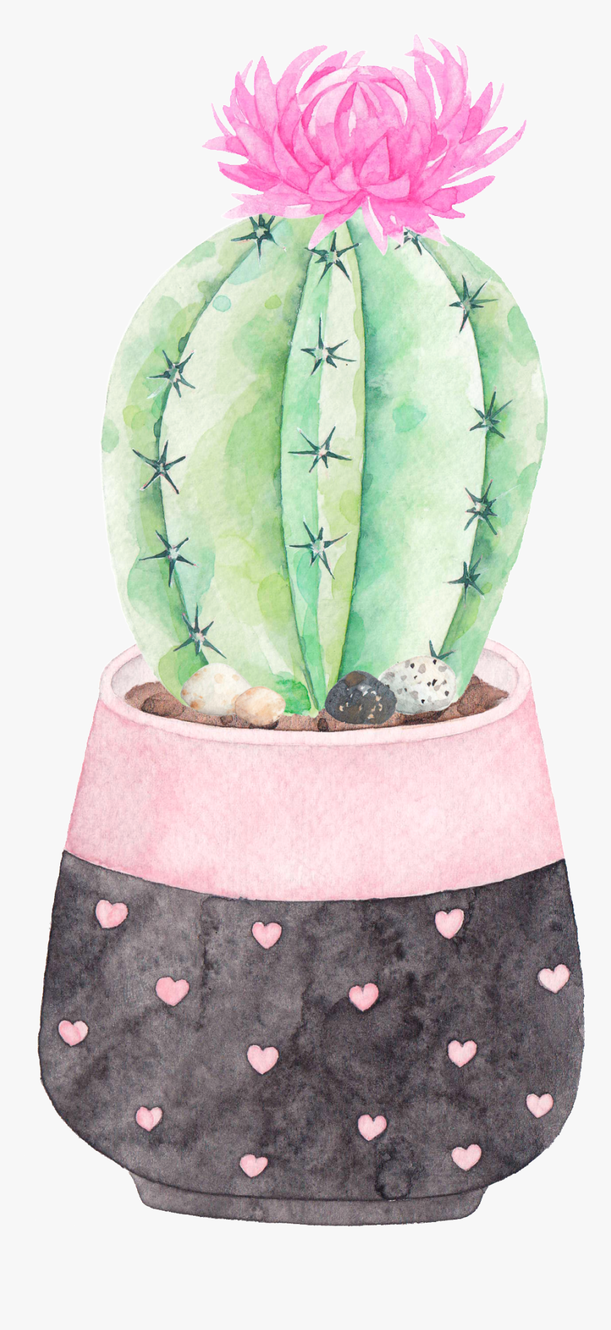 This Graphics Is A Flowering Cactus Png Transparent, Png Download, Free Download
