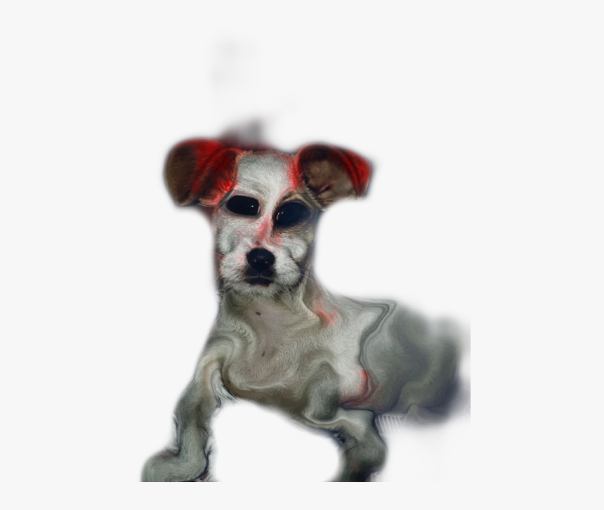 Doge Png , Png Download, Transparent Png, Free Download