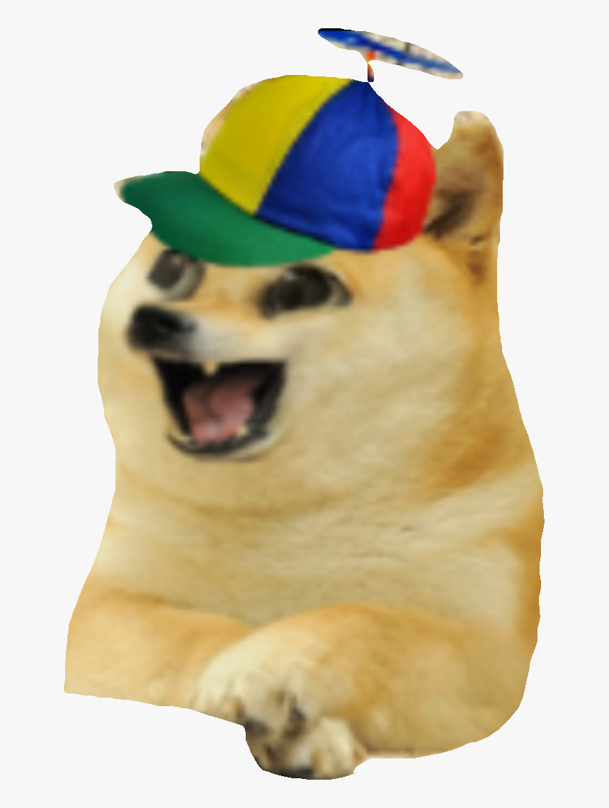 Doge Png, Transparent Png, Free Download