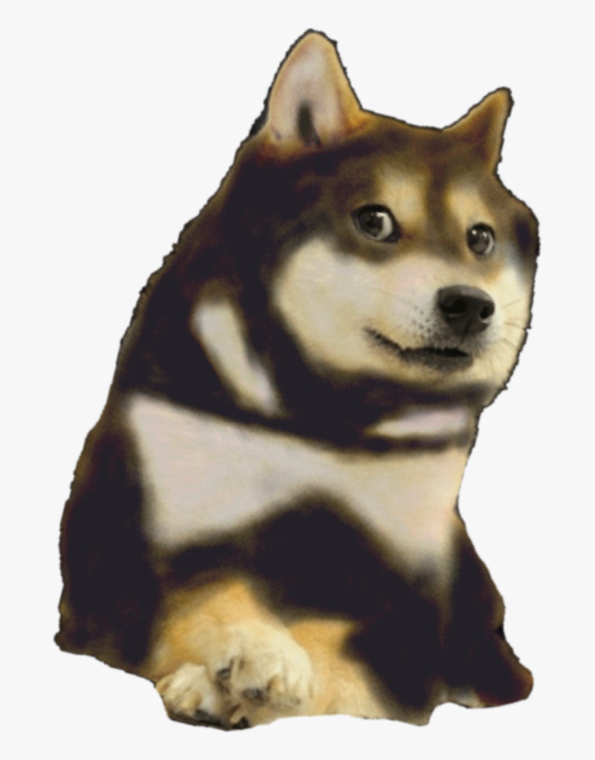 Doge Png, Transparent Png, Free Download