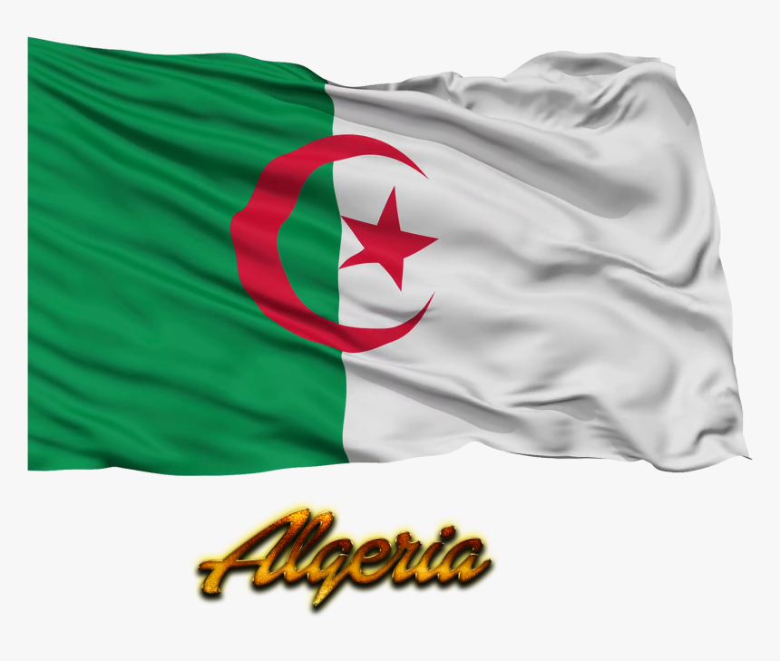 Algeria Flag Png Background, Transparent Png, Free Download