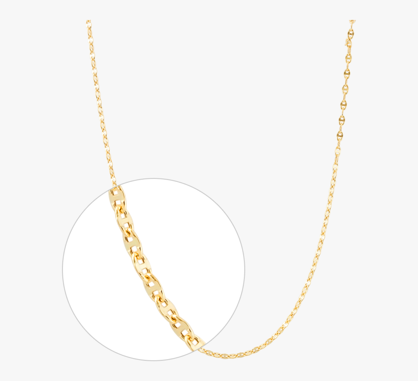 Gold Chain Png, Transparent Png, Free Download