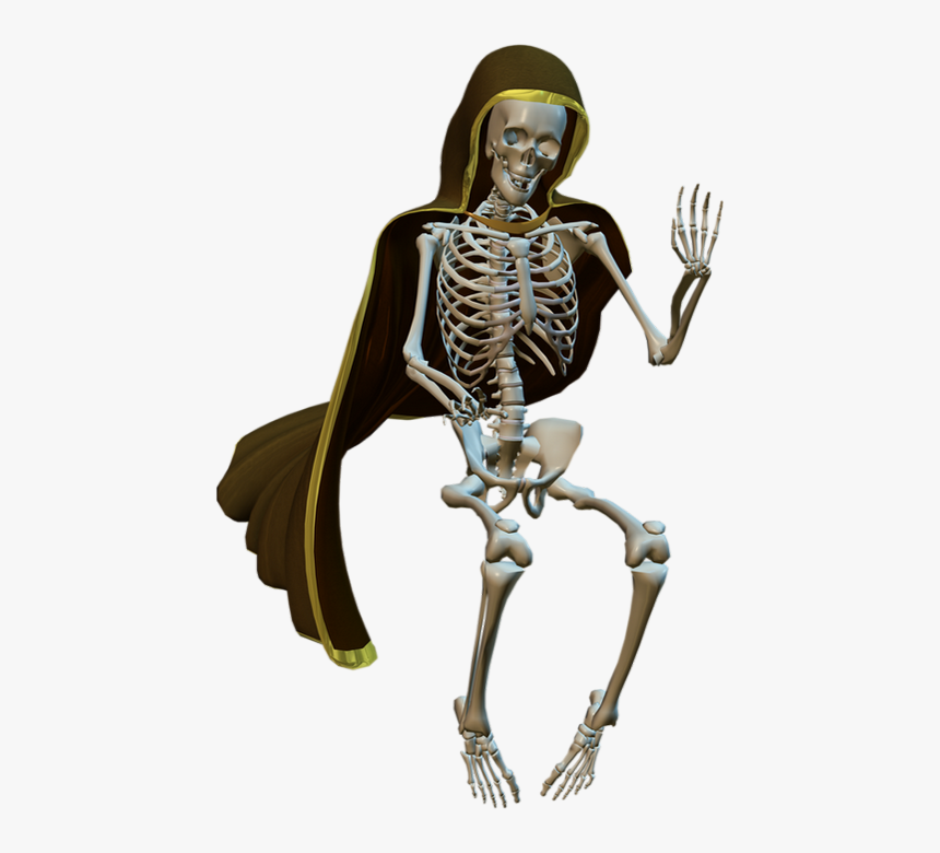 Squelette Png, Tube Halloween / Scheletro / Skeleton, Transparent Png, Free Download